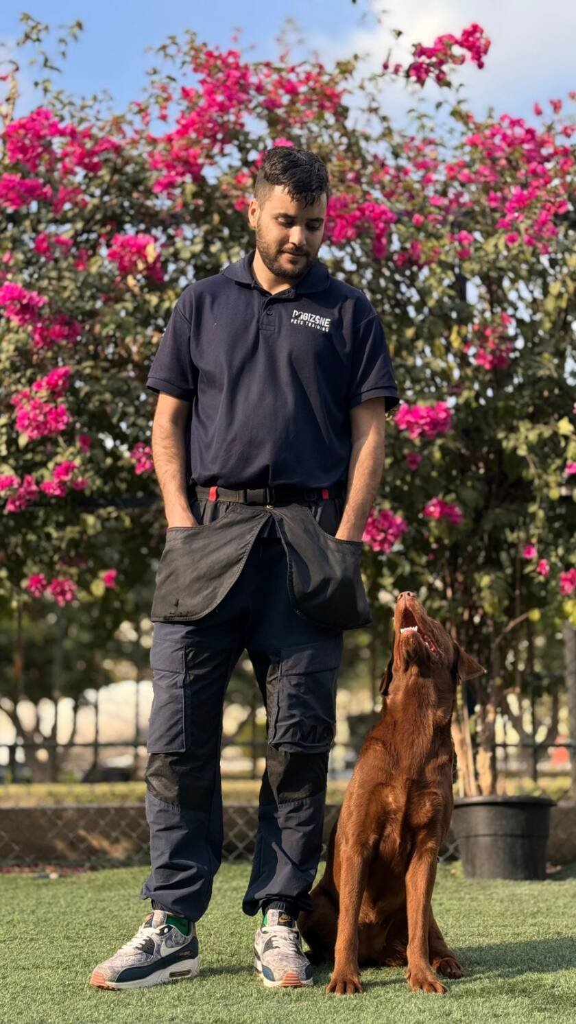 Brahim professional trainer