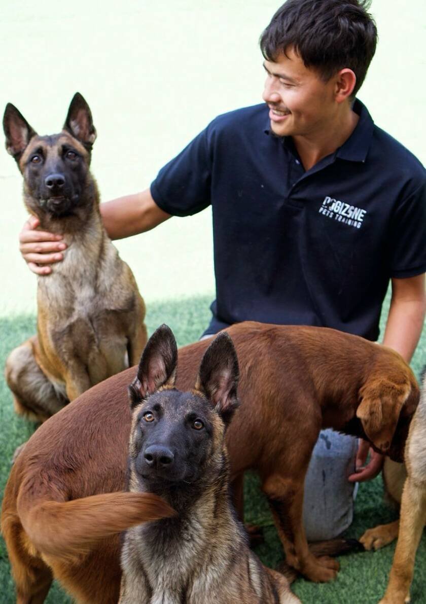 Ayoush dog trainer dubai