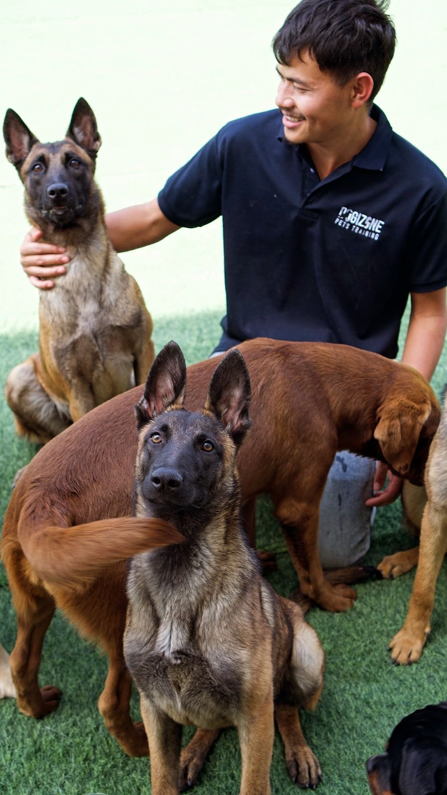 Obedience training