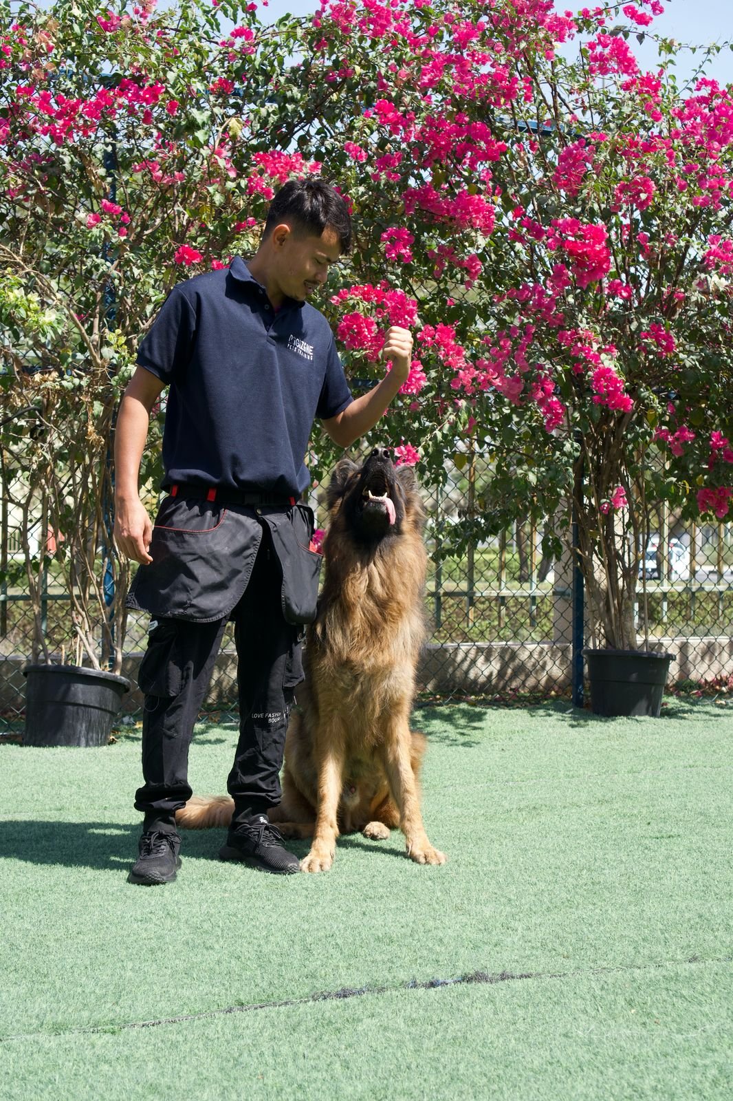 Obedience training
